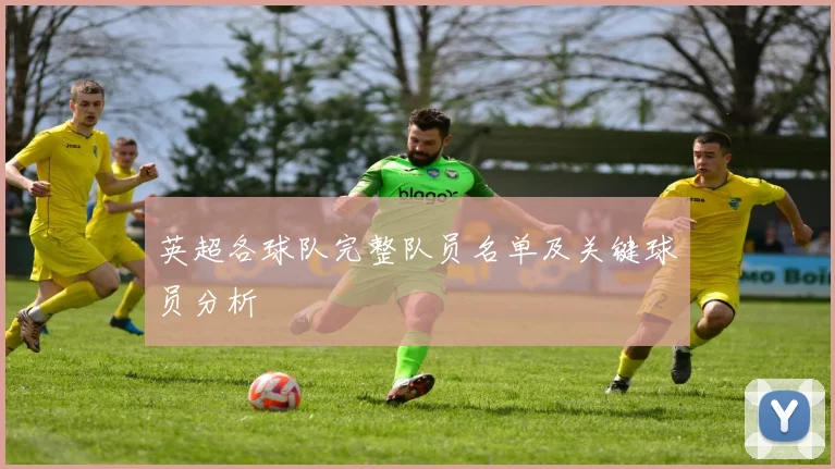 英超各球队完整队员名单及关键球员分析