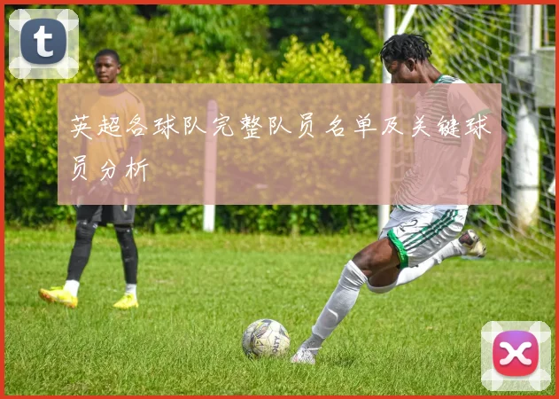 英超各球队完整队员名单及关键球员分析