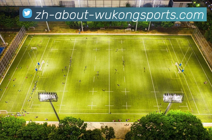 多媒体互动体验