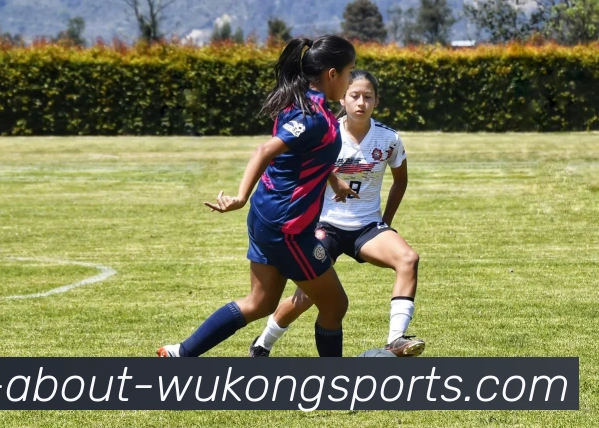 悟空体育APP 高清赛事图